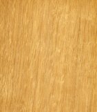 Europees Eiken  width=