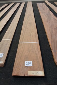 Amerikaans noten fineer 283 x 14-20 cm | 0.6mm |0,566m&sup2;