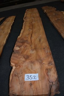 Taxus fineer 196 x 23-21cm | 0.6mm | 0,4312m&sup2;