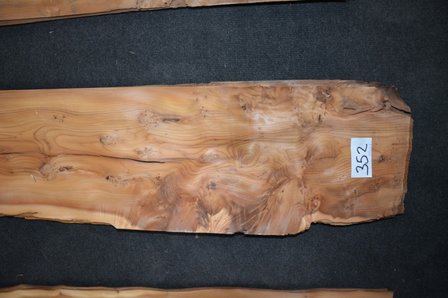 Taxus fineer 196 x 23-21cm | 0.6mm | 0,4312m&sup2;