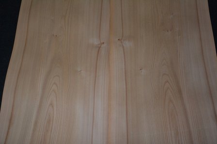Iepen fineer 300 x 47 cm | 0.6mm | 1,410m2