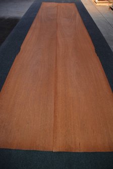 Swietenia mahonie fineer 300 x 37-38 cm | 0.6mm | 1,020m2