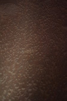 Mahonie Pommele fineer 254 x 78 cm | 0.6mm | 1,982m2