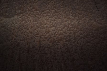 Mahonie Pommele fineer 254 x 78 cm | 0.6mm | 1,982m2