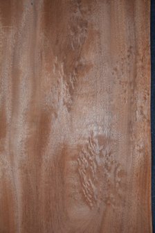 Mahonie Khaya Ivorensis fineer 254 x 52 cm | 0.6mm | 1,321m&sup2;