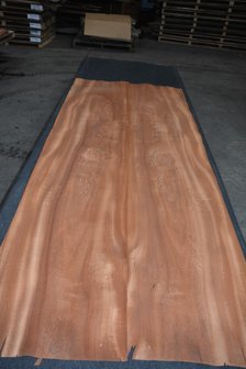 Mahonie Khaya Ivorensis fineer 254 x 52 cm | 0.6mm | 1,321m&sup2;