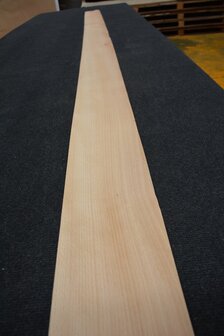 Beuken fineer 309 x 15-16 cm | 0.6mm | 0,479m&sup2; 