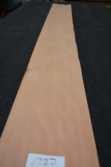 Beuken fineer  224 x 21-25 cm| 0.6mm | 0,515m&sup2; 