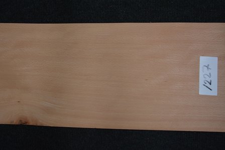 Beuken fineer  224 x 21-25 cm| 0.6mm | 0,515m&sup2; 