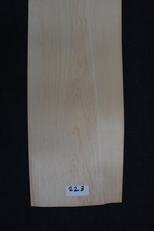 Esdoorn fineer 245 x 15-17cm | 0.6mm | 0,392m&sup2;  