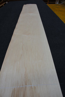 Esdoorn fineer 245 x 15-17cm | 0.6mm | 0,392m&sup2;  