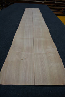 Iepen fineer 215 x 16-17 cm | 0.6mm| 0,355m2