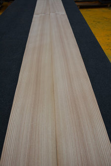 Iepen fineer 300 x 21 cm | 0.6mm| 0,630m2