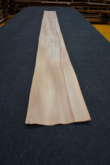 Iepen fineer 280 x 20 cm | 0.6mm| 0,560m2