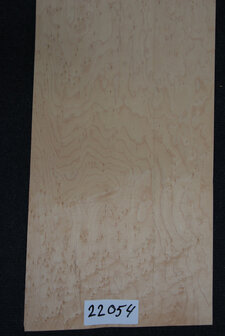 Esdoorn fineer 76 x 25cm | 0,188 m2 | 0.6 mm | Birdseye Maple Vogelaugen Ahorn