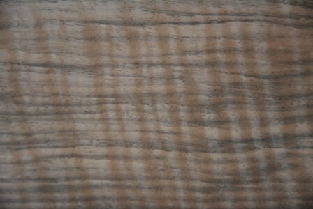 Frans Noten Moiree fineer 275 x 58 cm  | 1,595 m2 | 0.8mm | XXL Excellent  