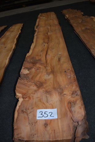 Taxus fineer 196 x 23-21cm | 0.6mm | 0,4312m²