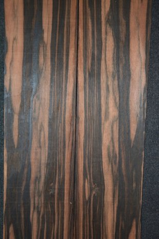 Coromandel fineer 177 x 16 cm | 0.6mm | 02832m²