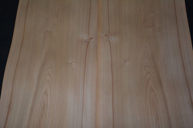 Iepen fineer 300 x 47 cm | 0.6mm | 1,410m2