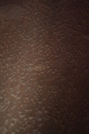 Mahonie Pommele fineer 254 x 78 cm | 0.6mm | 1,982m2