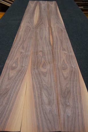 Amerikaans noten fineer 233 x 16 cm | 0.6mm | 0,373m²