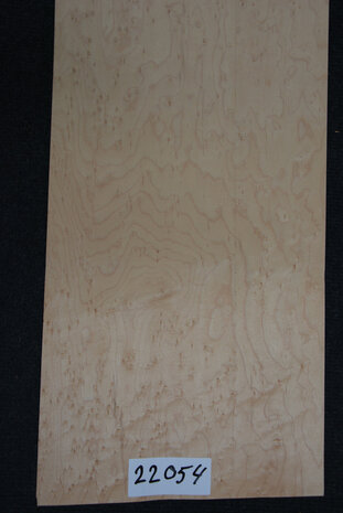 Esdoorn fineer 76 x 25cm | 0,188 m2 | 0.6 mm | Birdseye Maple Vogelaugen Ahorn